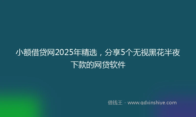 小额借贷网2025年精选，分享5个无视黑花半夜下款的网贷软件