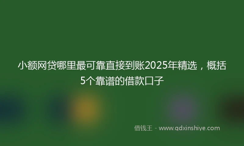 小额网贷哪里最可靠直接到账2025年精选，概括5个靠谱的借款口子