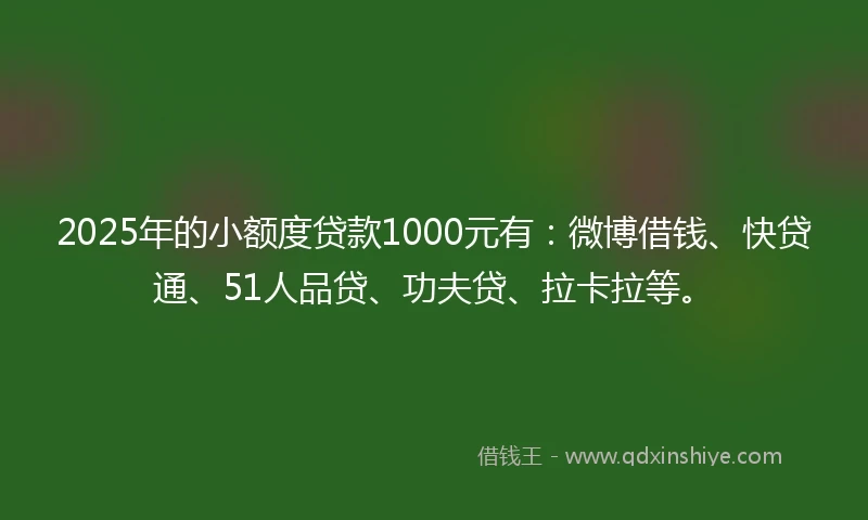 2025年的小额度贷款1000元有：微博借钱、快贷通、51人品贷、功夫贷、拉卡拉等。