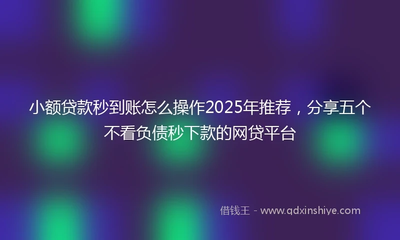 小额贷款秒到账怎么操作2025年推荐，分享五个不看负债秒下款的网贷平台
