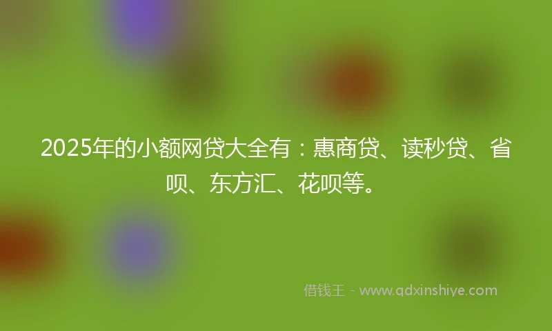 2025年的小额网贷大全有：惠商贷、读秒贷、省呗、东方汇、花呗等。