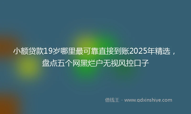 小额贷款19岁哪里最可靠直接到账2025年精选，盘点五个网黑烂户无视风控口子