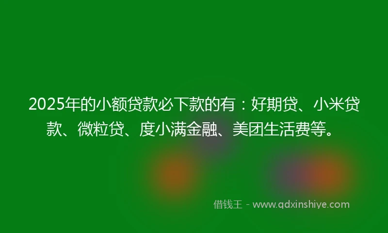 2025年的小额贷款必下款的有：好期贷、小米贷款、微粒贷、度小满金融、美团生活费等。