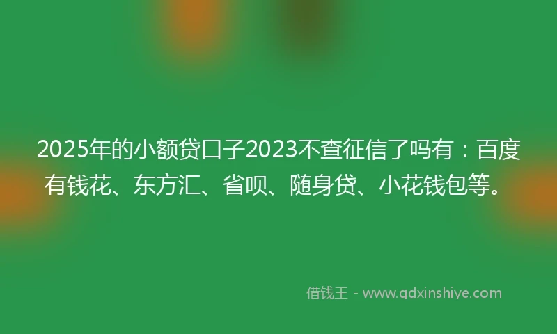 2025年的小额贷口子2023不查征信了吗有：百度有钱花、东方汇、省呗、随身贷、小花钱包等。
