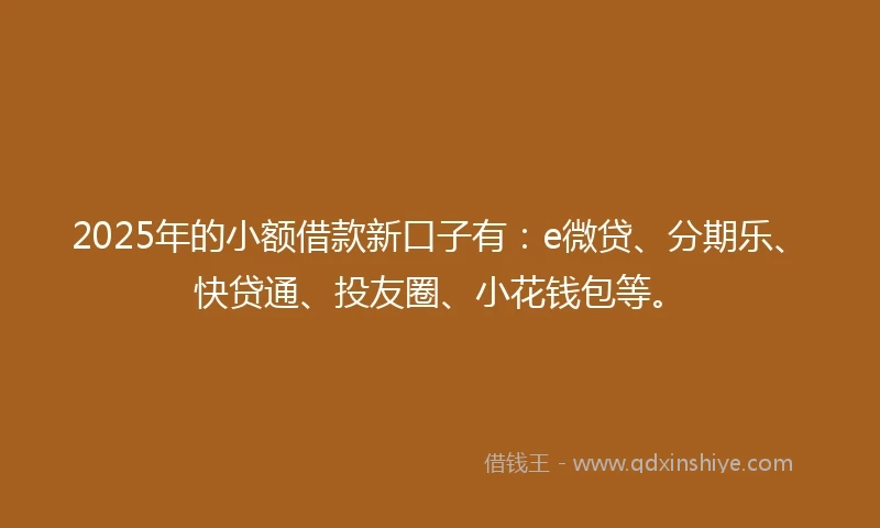2025年的小额借款新口子有：e微贷、分期乐、快贷通、投友圈、小花钱包等。