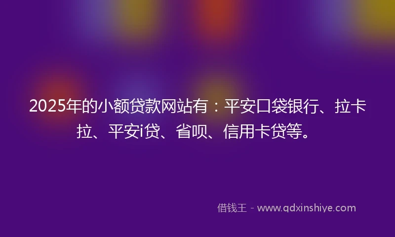 2025年的小额贷款网站有：平安口袋银行、拉卡拉、平安i贷、省呗、信用卡贷等。