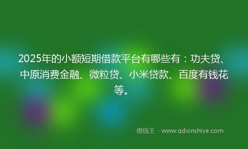 2025年的小额短期借款平台有哪些有：功夫贷、中原消费金融、微粒贷、小米贷款、百度有钱花等。