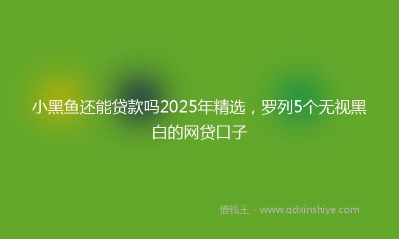 小黑鱼还能贷款吗2025年精选，罗列5个无视黑白的网贷口子