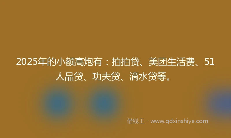 2025年的小额高炮有：拍拍贷、美团生活费、51人品贷、功夫贷、滴水贷等。