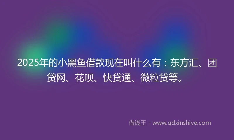 2025年的小黑鱼借款现在叫什么有：东方汇、团贷网、花呗、快贷通、微粒贷等。