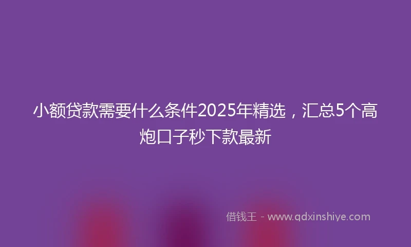 小额贷款需要什么条件2025年精选，汇总5个高炮口子秒下款最新