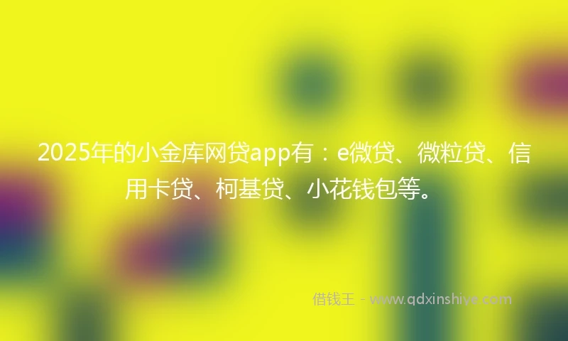 2025年的小金库网贷app有：e微贷、微粒贷、信用卡贷、柯基贷、小花钱包等。