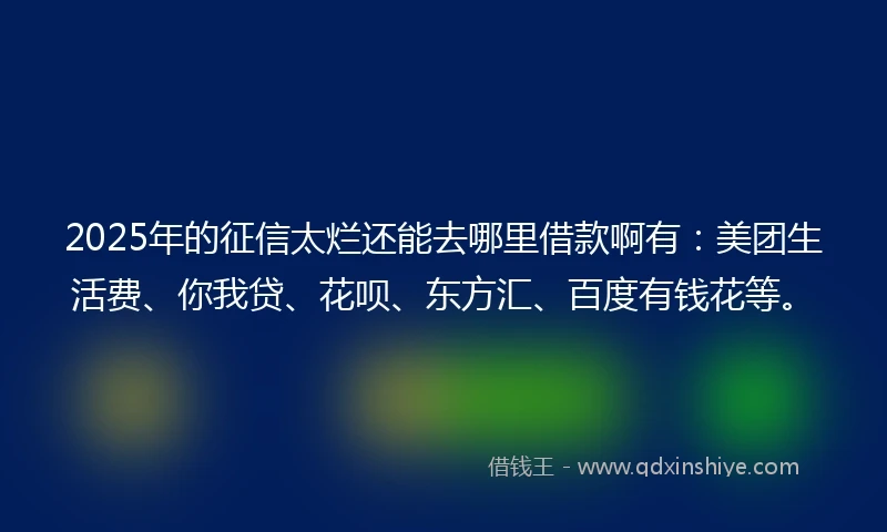 2025年的征信太烂还能去哪里借款啊有：美团生活费、你我贷、花呗、东方汇、百度有钱花等。