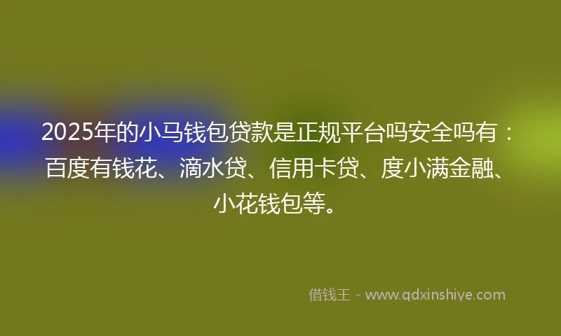 2025年的小马钱包贷款是正规平台吗安全吗有：百度有钱花、滴水贷、信用卡贷、度小满金融、小花钱包等。