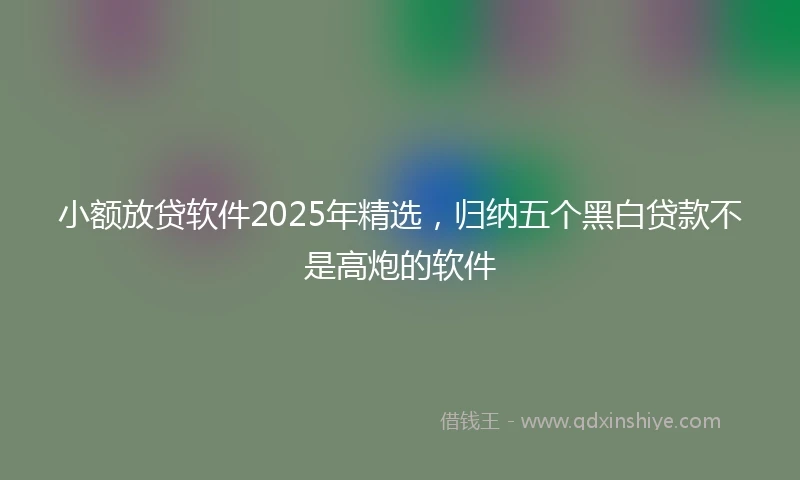 小额放贷软件2025年精选，归纳五个黑白贷款不是高炮的软件