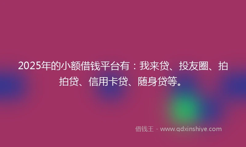 2025年的小额借钱平台有：我来贷、投友圈、拍拍贷、信用卡贷、随身贷等。