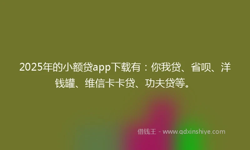 2025年的小额贷app下载有：你我贷、省呗、洋钱罐、维信卡卡贷、功夫贷等。