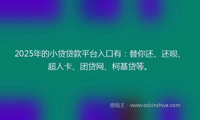 2025年的小贷贷款平台入口有：替你还、还呗、超人卡、团贷网、柯基贷等。