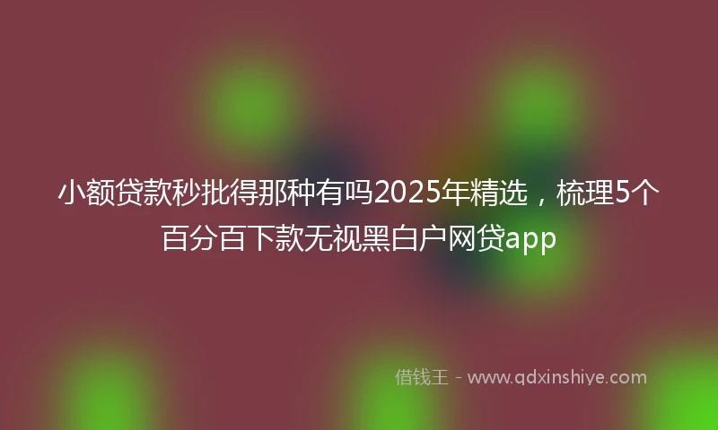 小额贷款秒批得那种有吗2025年精选，梳理5个百分百下款无视黑白户网贷app