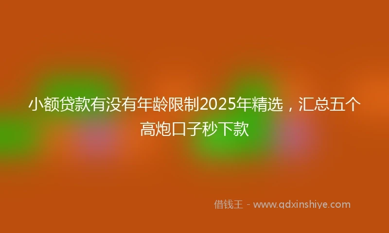小额贷款有没有年龄限制2025年精选，汇总五个高炮口子秒下款
