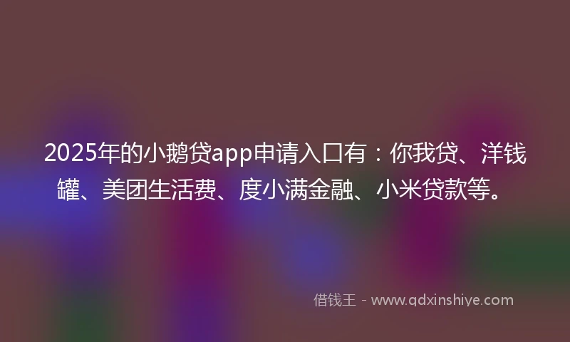 2025年的小鹅贷app申请入口有：你我贷、洋钱罐、美团生活费、度小满金融、小米贷款等。