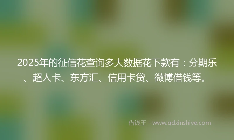 2025年的征信花查询多大数据花下款有：分期乐、超人卡、东方汇、信用卡贷、微博借钱等。