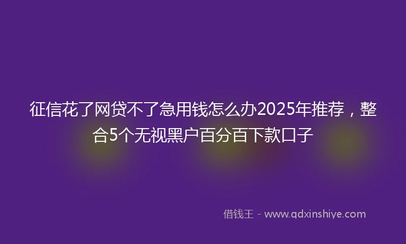 征信花了网贷不了急用钱怎么办2025年推荐，整合5个无视黑户百分百下款口子