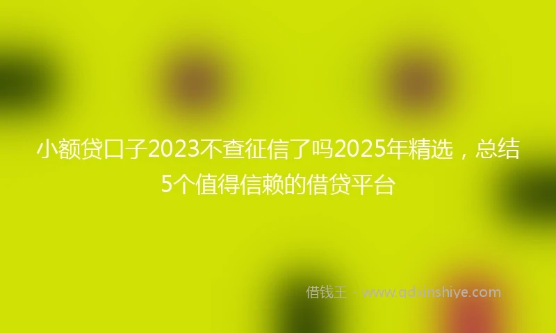 小额贷口子2023不查征信了吗2025年精选，总结5个值得信赖的借贷平台