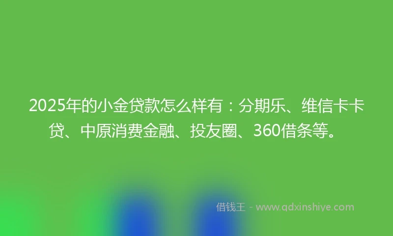 2025年的小金贷款怎么样有：分期乐、维信卡卡贷、中原消费金融、投友圈、360借条等。