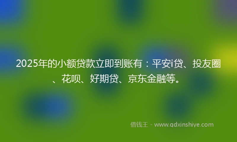 2025年的小额贷款立即到账有：平安i贷、投友圈、花呗、好期贷、京东金融等。