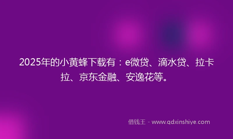 2025年的小黄蜂下载有：e微贷、滴水贷、拉卡拉、京东金融、安逸花等。
