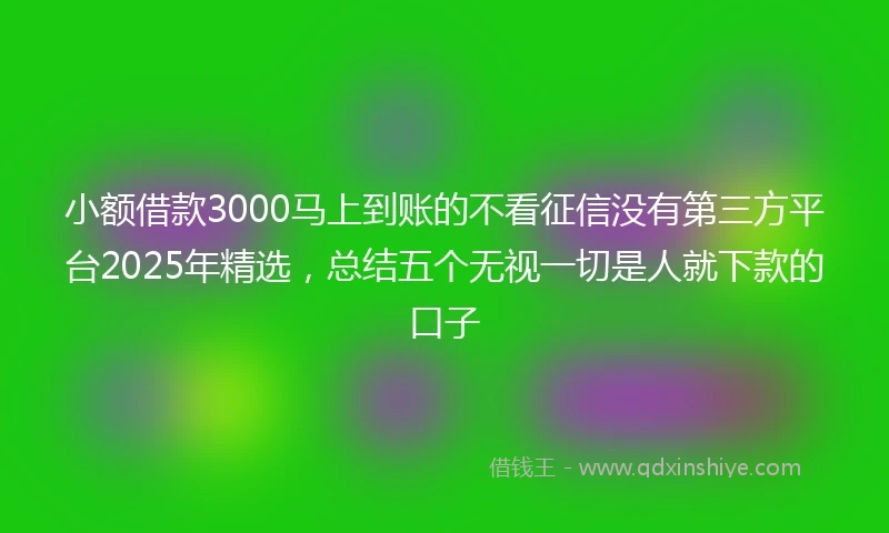 小额借款3000马上到账的不看征信没有第三方平台2025年精选，总结五个无视一切是人就下款的口子