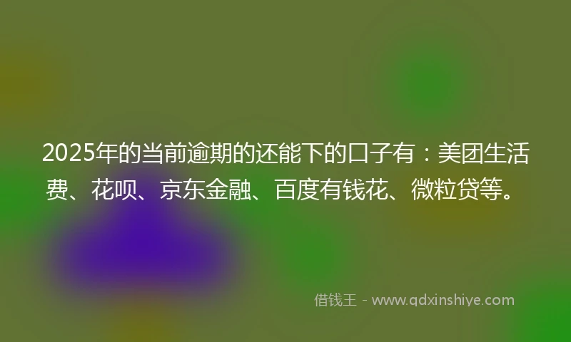 2025年的当前逾期的还能下的口子有：美团生活费、花呗、京东金融、百度有钱花、微粒贷等。