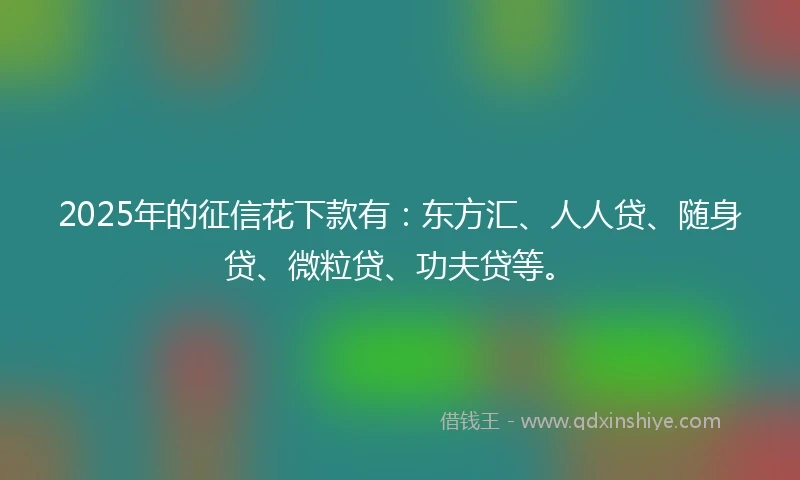 2025年的征信花下款有：东方汇、人人贷、随身贷、微粒贷、功夫贷等。