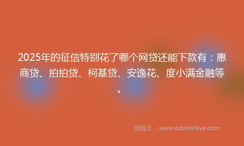 2025年的征信特别花了哪个网贷还能下款有：惠商贷、拍拍贷、柯基贷、安逸花、度小满金融等。