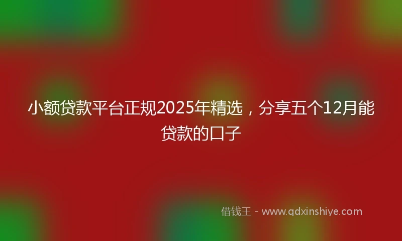 小额贷款平台正规2025年精选，分享五个12月能贷款的口子
