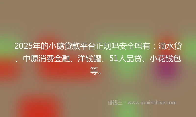 2025年的小鹅贷款平台正规吗安全吗有：滴水贷、中原消费金融、洋钱罐、51人品贷、小花钱包等。