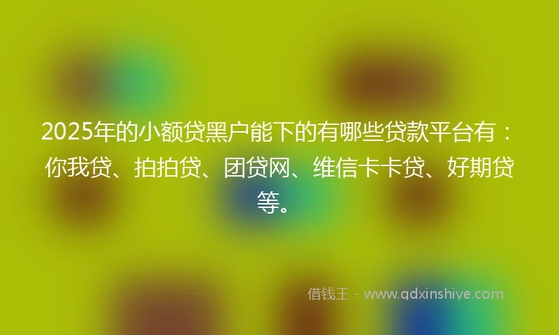 2025年的小额贷黑户能下的有哪些贷款平台有：你我贷、拍拍贷、团贷网、维信卡卡贷、好期贷等。