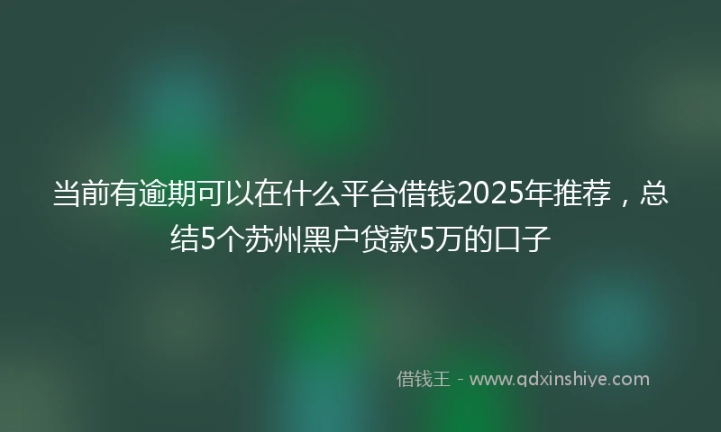 当前有逾期可以在什么平台借钱2025年推荐，总结5个苏州黑户贷款5万的口子