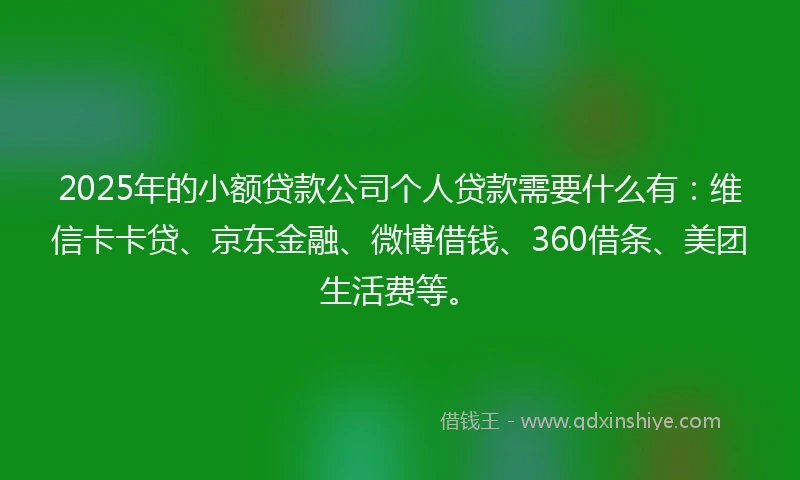 2025年的小额贷款公司个人贷款需要什么有：维信卡卡贷、京东金融、微博借钱、360借条、美团生活费等。