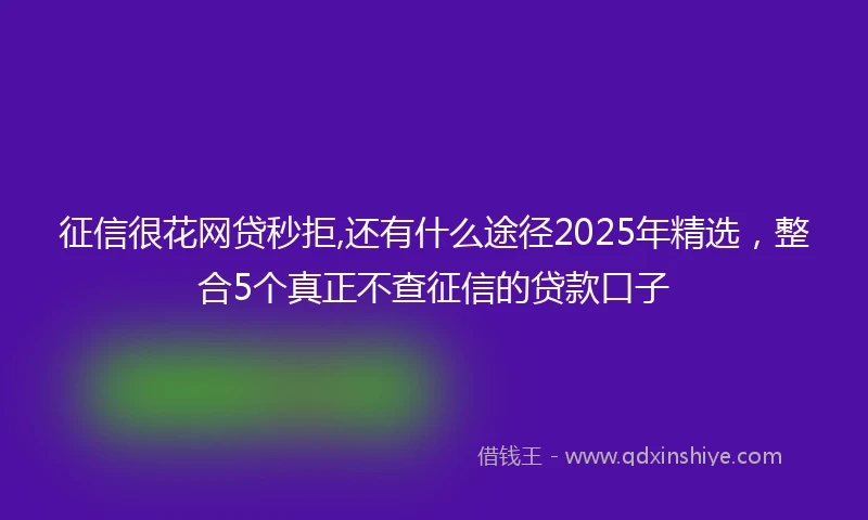征信很花网贷秒拒,还有什么途径2025年精选,整合5个真正不查征信的贷款口子