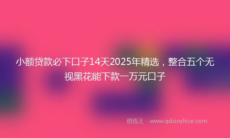 小额贷款必下口子14天2025年精选，整合五个无视黑花能下款一万元口子