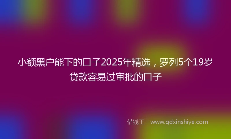 小额黑户能下的口子2025年精选，罗列5个19岁贷款容易过审批的口子