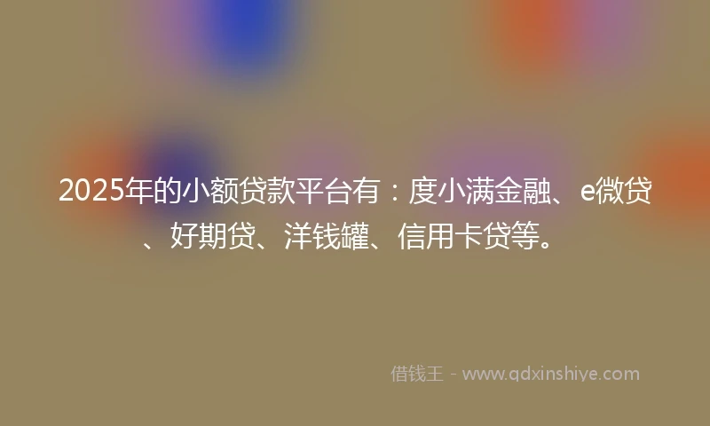 2025年的小额贷款平台有：度小满金融、e微贷、好期贷、洋钱罐、信用卡贷等。
