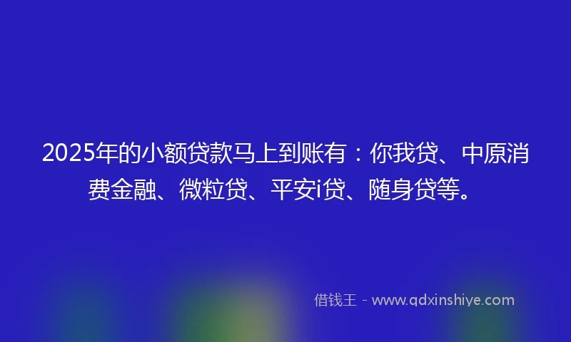 2025年的小额贷款马上到账有：你我贷、中原消费金融、微粒贷、平安i贷、随身贷等。
