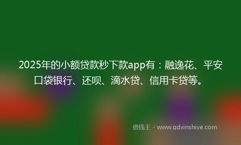 2025年的小额贷款秒下款app有：融逸花、平安口袋银行、还呗、滴水贷、信用卡贷等。