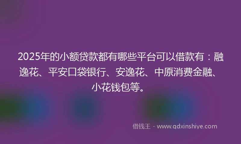 2025年的小额贷款都有哪些平台可以借款有：融逸花、平安口袋银行、安逸花、中原消费金融、小花钱包等。