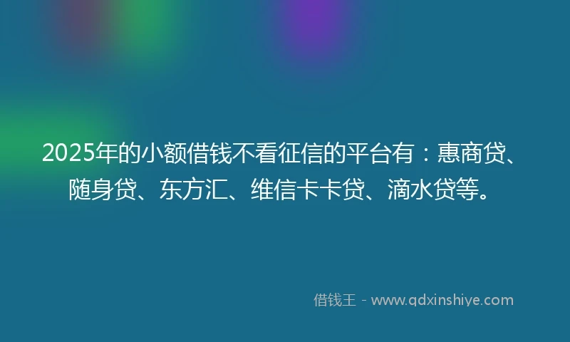 2025年的小额借钱不看征信的平台有：惠商贷、随身贷、东方汇、维信卡卡贷、滴水贷等。