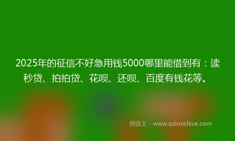 2025年的征信不好急用钱5000哪里能借到有：读秒贷、拍拍贷、花呗、还呗、百度有钱花等。