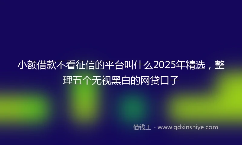 小额借款不看征信的平台叫什么2025年精选，整理五个无视黑白的网贷口子